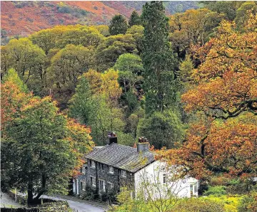  ?? Picture: PAUL KINGSTON / NNP ?? Stunning autumn hues in Borrowdale, in the Lake District, show calm before the storm yesterday