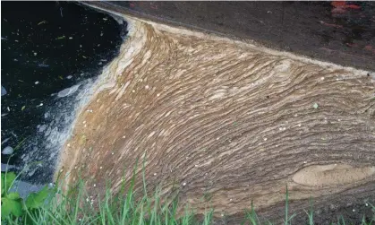  ?? Photograph: Maureen McLean/REX/Shuttersto­ck ?? Pollution and plant debris on the Grand Union Canal at Harefield following sewage discharges by Thames Water.