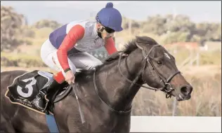  ?? Picture: Liesl King ?? Aldo Domeyer rode DUTCH PHILIP to victory in the Cape Of Good Hope Nursery at Kenilworth on Saturday. This was one of his six winners for the day.