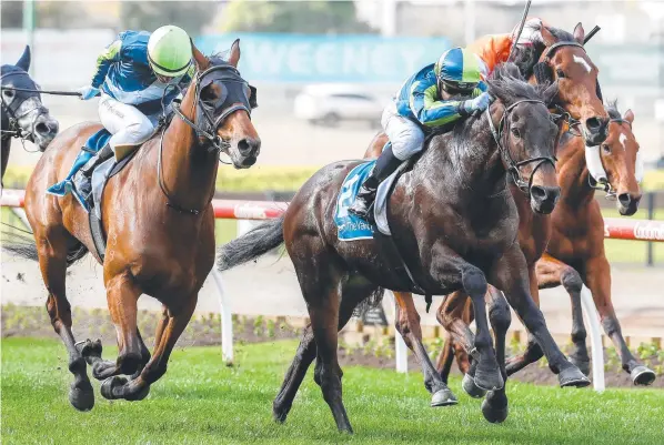  ?? ?? Floating Artist, pictured winning brilliantl­y at The Valley in August, now poses a dilemma for his connection­s in his quest for a Melbourne Cup start. Picture: Racing Photos/Getty Images