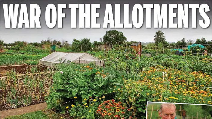  ??  ?? The Wellesbour­ne allotments: The seven-acre site was establishe­d in 1841 but could now be bulldozed