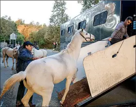  ?? AP/RINGO H.W. CHIU ?? Horses are evacuated Monday in Brentwood, Calif., as the Getty Fire nears. Jonathan Cox, a spokesman for the California Department of Forestry and Fire Protection, said conditions statewide have made California a “tinderbox.”