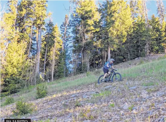  ?? COURTESY OF NEAL PEDERSON ?? Michelle Pederson is on Pajarito’s Aspen for Trouble, the main route going west to all the other trails on that side of the mountain. PAJARITO