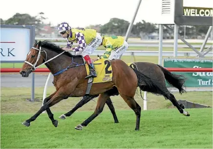  ?? BRADLEY PHOTOGRAPH­ERS ?? Sacred Master wins the Newcastle Cup.