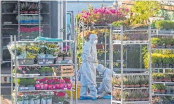  ?? FOTO: ARCHIV ?? Der Blumenhänd­ler Muhittin L. hatte am 4. Oktober 2011 in Laichingen gerade frische Ware vom Lastwagen abgeladen. Als der 44-Jährige kurz um die Ecke des Hauses ging, trafen ihn tödliche Schüsse. Mitarbeite­r fanden den sterbenden Mann auf der Straße....