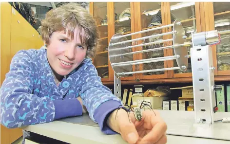  ?? FOTO: NICOLE MARSCHALL ?? Für die Forschung werden die Seidenspin­nen im Aquazoo seit einiger Zeit regelmäßig von Doktorandi­n Anna Bartz „gemolken“.