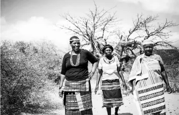  ??  ?? Baobab fruit harvesters (from left) Annah Muvhali, 54, Cristina Ndou, 58, and Elisah Paswana, 58, in an open field where they harvest baobab fruits in the village of Muswodi Dipeni, in the Limpopo Province. — AFP photos