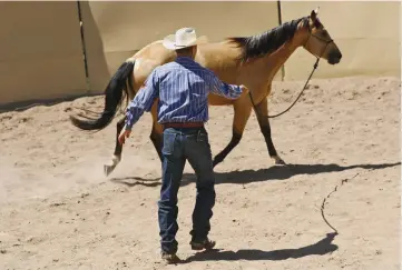  ??  ?? During this exercise, your horse should have give-and-take contact with the lead rope and stay a safe distance away from you. This helps him learn how to respect your space and stay the same distance away from you.