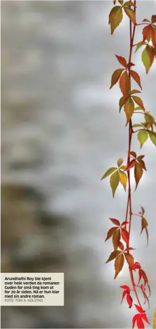  ?? FOTO: TOM A. KOLSTAD ?? Arundhathi Roy ble kjent over hele verden da romanen Guden for små ting kom ut for 20 år siden. Nå er hun klar med sin andre roman.