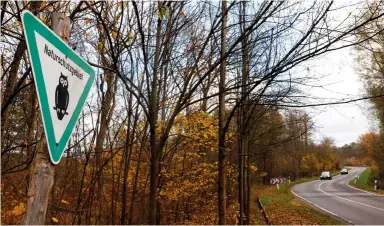  ?? ?? ABOVE: The forest to the north of Berlin where a dog walker found a femur; further bones were found in other locations around the city.