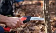  ?? PHOTO COURTESY MELINDA MYERS, LLC ?? A seven-inch RazorTooth folding saw is perfect for removing small or medium-sized dead or diseased branches from shrubs and small trees in the fall.