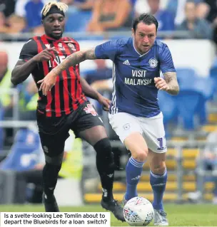  ??  ?? Is a svelte-looking Lee Tomlin about to depart the Bluebirds for a loan switch?