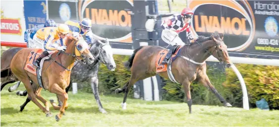  ?? Picture / NZME ?? Johnathan Parkes and Wait A Sec (7) are a great chance in the Herbie Dyke tomorrow, despite the ugly barrier draw.