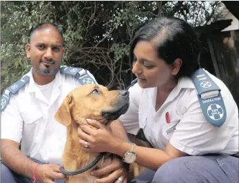  ??  ?? CELEBRATIN­G SMALL VICTORIES: Durban and Coast SPCA Inspector Nish Ramsamy and Senior Inspector Candice Sadayan with cross-labrador, Bronzo, which was recently rescued. He was found chained on a property of an absent owner and is now up for adoption....