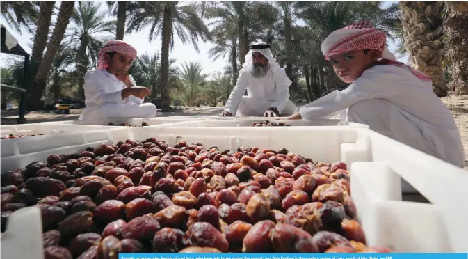  ?? — AFP ?? Emiratis arrange dates freshly picked from palm trees into boxes during the annual Liwa Date Festival in the western region of Liwa, south of Abu Dhabi.