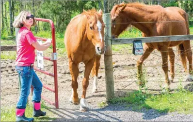  ?? WILLIAM HARVEY/RIVER VALLEY & OZARK EDITION ?? Brooke Knoles, a volunteer with the Equestrian Zone in Russellvil­le, lets the horses out of their pen to go over to the stables to get ready for therapy sessions with the children.