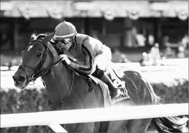  ?? CHELSEA DURAND/NYRA ?? Gucci Factor wins the Kingston at Belmont. He was hampered by a poor start in his last race.