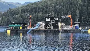  ??  ?? A ‘hydrolicer’ at work treating farmed, Atlantic salmon for sea lice.