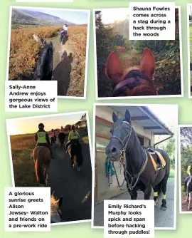  ??  ?? Sally-Anne Andrew enjoys gorgeous views of the Lake District A glorious sunrise greets Alison Jowsey- Walton and friends on a pre-work ride Shauna Fowles comes across a stag during a hack through the woods Emily Richard’s Murphy looks spick and span before hacking through puddles!