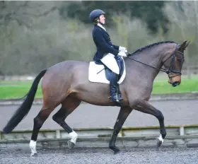  ??  ?? ‘A lot of horse to control’: Grace Wilson gets to grips with the sixyear-old mare Giovanna (Johnson x Rhodium), winning at elementary