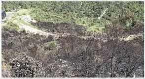  ?? PHOTOS: MATT COOK ?? Above: Volunteer firefighte­rs spent the weekend battling a scrub blaze near Tairua.