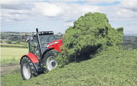  ??  ?? Farmers in the UK are busy with day-to-day issues while uncertaint­y over the future after Brexit remains.