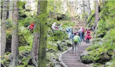  ?? FOTO: WEBER ?? Es ging auch bergauf für die Wandergrup­pe.