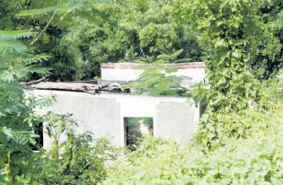  ?? KENYON HEMANS/PHOTOGRAPH­ER ?? Many residents of Bito, St Andrew East Rural, have abandoned their homes and moved out of the community because of bad road conditions and unemployme­nt. Around 20 people now live in the community.