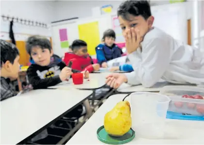  ?? L. THIEBERGER ?? Hábito. Un alumno del 2° grado de la Escuela 9 DE 16 de Villa Urquiza, con su vianda saludable.