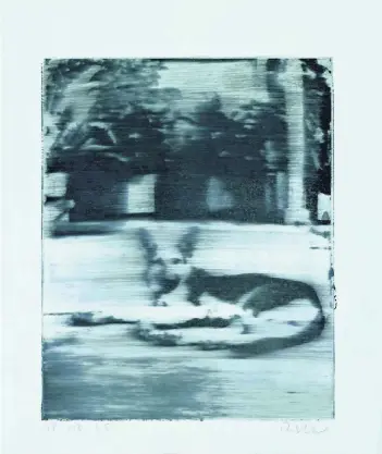  ??  ?? Nummer eins von Richters Editionen ist ein Siebdruck auf bemaltem Hartkarton ( 1965).Er zeigt Schäferhun­d Wolfi, dessen Foto Richter aus dem Album seiner damaligen Frau entnahm. Beim Drucken hat er es verwischt.
