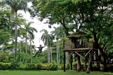  ??  ?? THE FUN Farm in Sta. Elena Golf and Country Estates is a favorite venue for family outings. This zipline is a popular attraction.