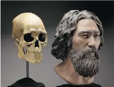  ??  ?? A clay facial reconstruc­tion of Kennewick Man. After years of legal battles and inconclusi­ve tests, scientists have finally determined a 9,000-year-old skeleton is that of a Native American male.