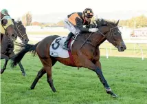  ?? PHOTO: RACE IMAGES ?? Ruby Armani boosted her broodmare potential with victory in the Manawatu ITM Anzac 1550m. at Awapuni yesterday.