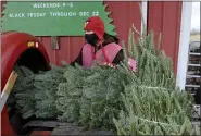  ?? BEN HASTY — MEDIANEWS GROUP ?? David Fix, an employee at Beck Tree Farms, wraps a tree.At Beck Tree Farms in Richmond Township Tuesday afternoon December 1, 2020 where people were selecting Christmas Trees.