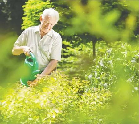  ?? GETTY IMAGES/ISTOCKPHOT­O ?? Whether for flowers or produce, a garden can help keep you healthy. Nick Rost van Tonningen has three on the go.