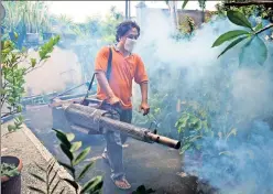  ??  ?? Spray it, don’t say it: An Indonesian health worker fumigates an area to kill mosquitoes that may carry diseases on the island of Bali.