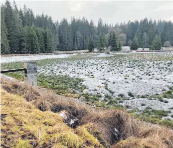  ?? FOTO: MAREIKE KEIPER ?? Der Ablacher Weiher führt im Moment kein Wasser.