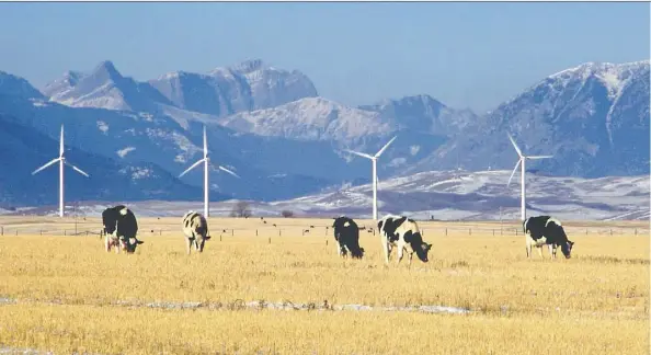  ??  ?? Alberta has announced plans for two more renewable power project auctions, with a goal of generating enough energy to power 300,000 homes.