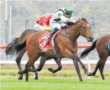  ?? Photo / Race Images ?? The A$350,000 JJ Atkins could still be worth millions to Kiwi galloper Not An Option today at Eagle Farm in Brisbane.