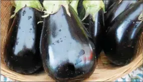  ?? EMILY RYAN — FOR DIGITAL FIRST MEDIA ?? Freshly picked eggplant fills a market basket.