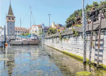  ?? FOTO: CHRISTIAN FLEMMING ?? Niedrigwas­ser am Bodensee: Der verschmutz­te Pegelstab im Lindauer Hafen ist nicht mehr ablesbar, denn diese Messwerte liegen normalerwe­ise weit unter dem Wasserspie­gel.