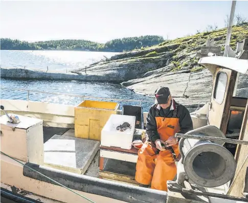  ??  ?? LIVET PÅ SJØEN: Per (92) har fisket siden han var 12 år. Han har ingen planer om å gi seg.