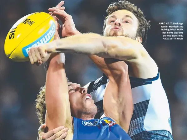  ?? Picture: GETTY IMAGES ?? HARD AT IT: Geelong’s Jordan Murdoch and Bulldog Mitch Wallis lock horns last time the two sides met.