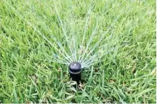  ??  ?? This pop-up sprinkler applies water at a rate of around 11mm per hour - a nice, steady applicatio­n for most soils.