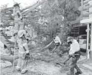  ?? /EDUARDO TLACHI ?? Un árbol de más de 60 años colapsó en la capital