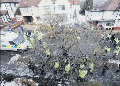  ?? PICTURES: SCOTT MERRYLEES. ?? DEEP-ROOTED DISPUTE: Tree-felling in Sheffield has been the cause of controvers­y for several years.