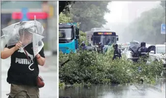  ?? WANG QIANG / FOR CHINA DAILY ?? Left: Strong winds ruin the umbrella of a resident in Changchun, Jilin province, on Tuesday. Typhoon Haishen brought strong winds and rains to many areas in Jilin. Right: Workers clear branches in a street brought down by winds in Changchun.