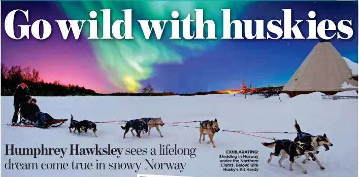  ??  ?? EXHILARATI­NG:
Sledding in Norway under the Northern Lights. Below: Birk Husky’s Kit Hardy