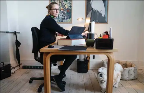  ??  ?? Lisbeth Nielsen er direktør i Sundhedsda­tastyrelse­n og arbejder p.t. fra hjemmekont­oret, hvor hun har selskab af familiens enøjede hund, Ole. Foto: Stine Bidstrup