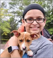  ??  ?? Above: Savanna Aker, 13, of Pottstown cuddles Tiny Mite, one of Noah’s Ark Rescue Project and Sanctuary dogs up for adoption.